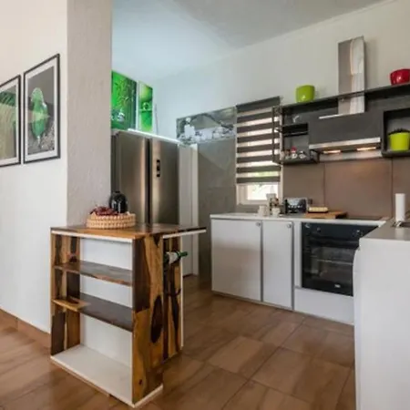 Вилла Family House Petric *